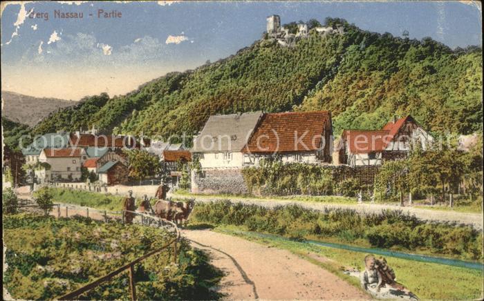 Nassau Lahn Panorama mit Burg Kinder Stiere