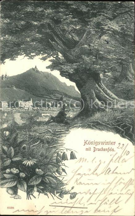 Koenigswinter Panorama mit Drachenfels