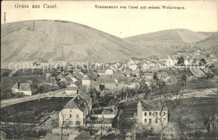 Casel Trier Panorama mit Weinbergen