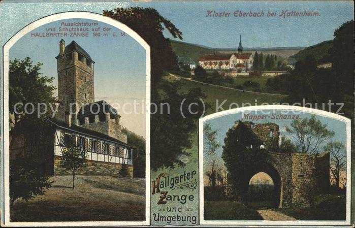 Hattenheim Rheingau Kloster Eberbach Hallgarter Zange