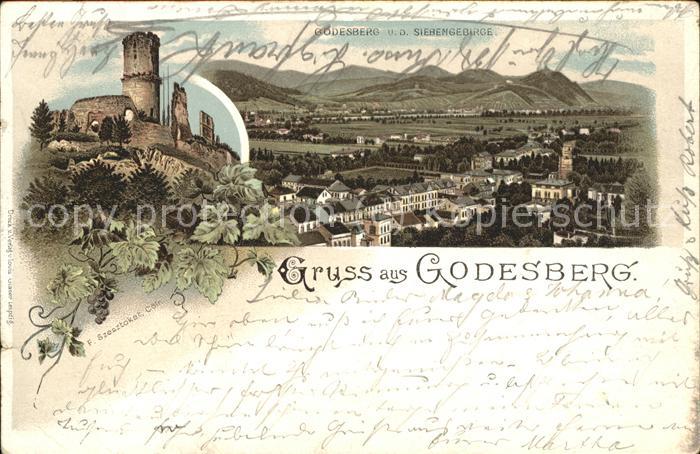 Bad Godesberg Burg Panorama Siebengebirge