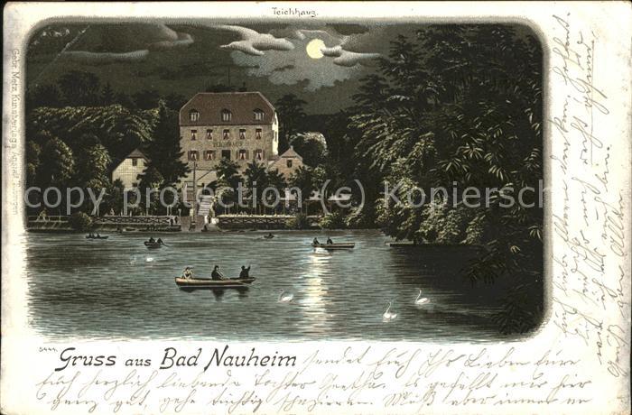 Bad Nauheim Teich bei Mondschein