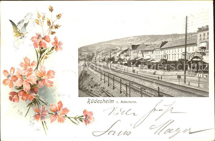 Ruedesheim Panorama Eisenbahn