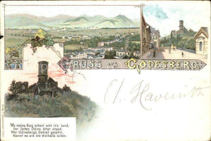 Bad Godesberg Burg Panorama