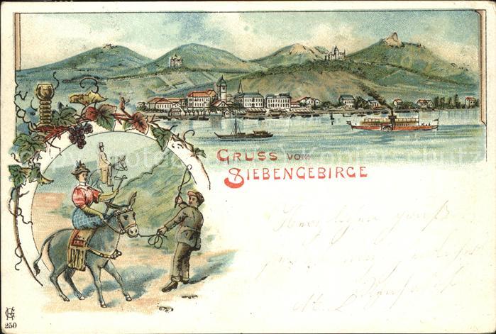 Koenigswinter Rheinpanorama