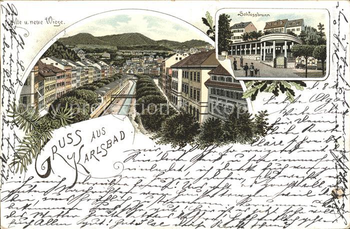 Karlsbad Eger Kuenstlerkarte Alte und neue Wiese Schlossbrunn