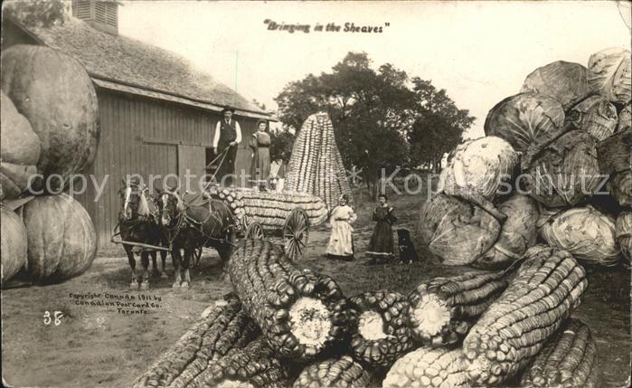 Toronto Canada Bringing in the Sheaves