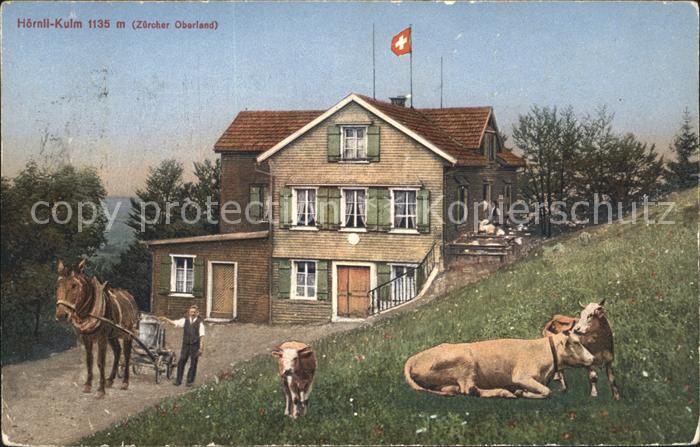 Zuerich ZH Hoernel-Kulm