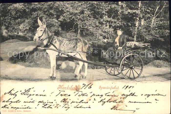 Karlsbad Eger Spazierfahrt