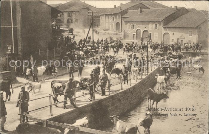Avricourt Sarrebourg Deitsch-Avricourt Beigetriebenes Vieh v