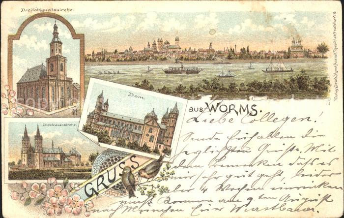 Worms Rhein Panorama Dreifaltigkeitskirche Liebfrauenkirche Dom