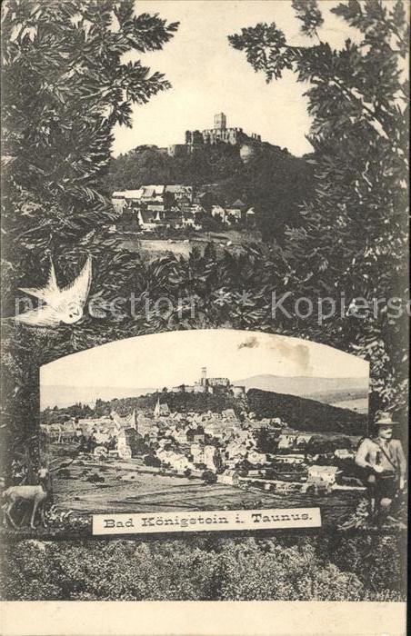 Koenigstein Taunus Schloss Gesamtansicht