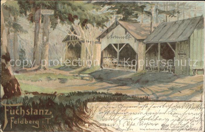 Feldberg Taunus Fuchstanz