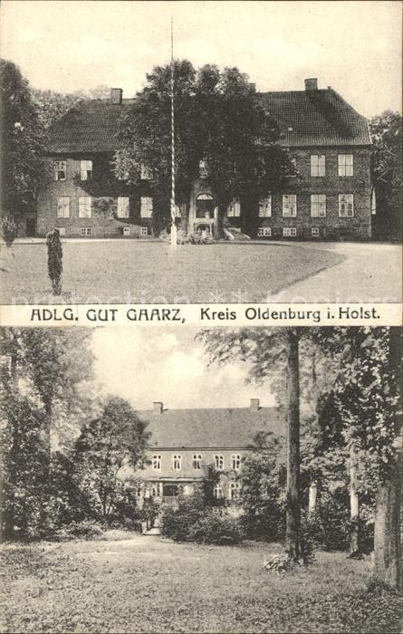 Oldenburg Holstein Gut Gaarz