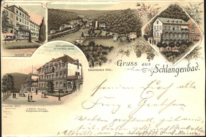 Schlangenbad Taunus Totalansicht Pariser Hof Viktoria Hotel Hotel Russischer Kai