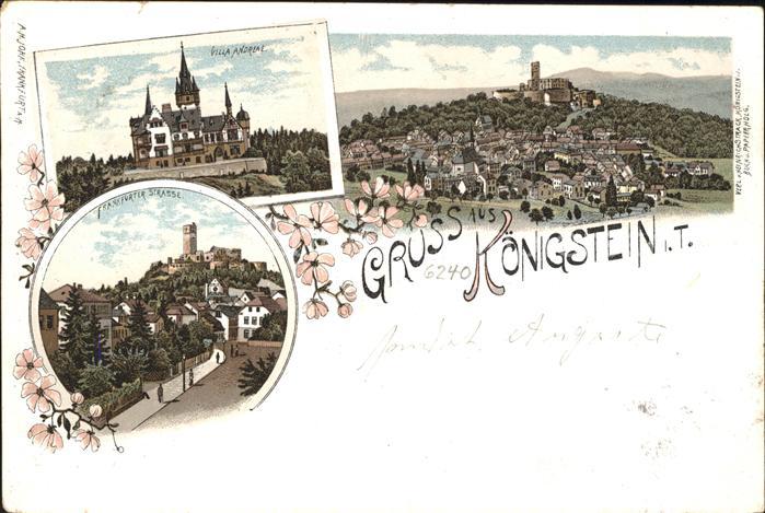 Koenigstein Taunus Panorama Villa Andreae Frankfurter Strasse
