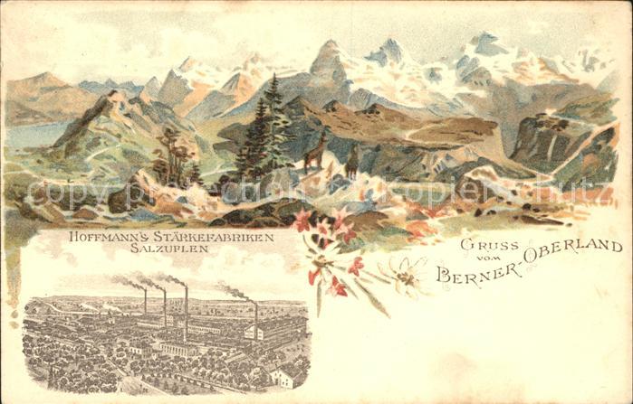 Bad Salzuflen Hoffmanns Staerkefabriken Alpenpanorama