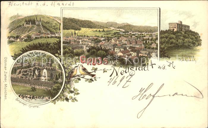 Neustadt Haardt Panorama Schoenthal Grotte Schloss Hambach