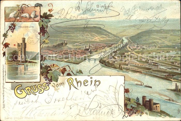 Bingen Rhein Muendung der Nahe Maeuseturm Burg Weinreben