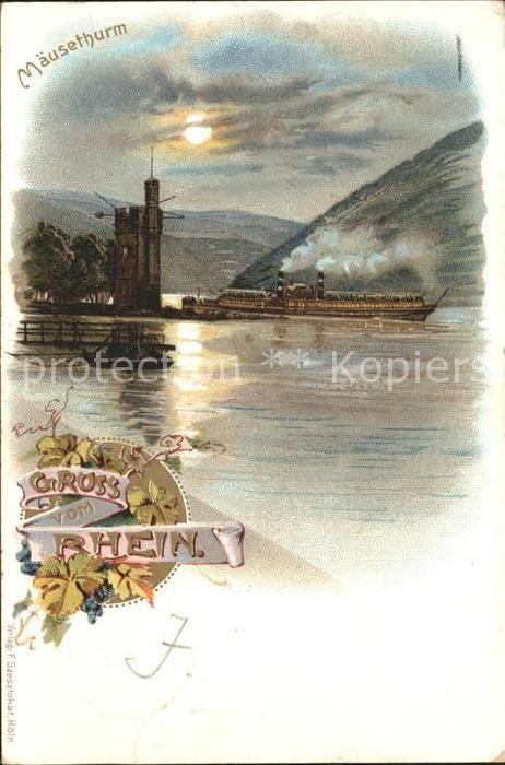 Bingen Rhein Maeuseturm Rheindampfer Weinreben