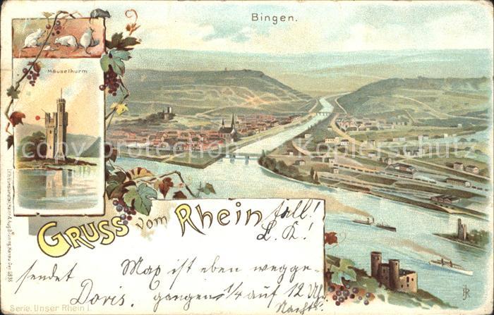 Bingen Rhein Nahemuendung Maeuseturm Weinreben