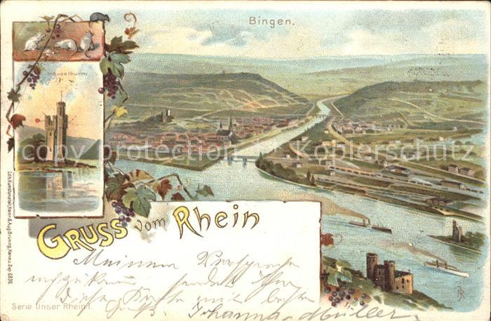 Bingen Rhein Nahemuendung Maeuseturm Weinreben