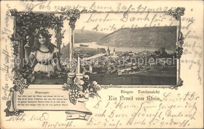 Bingen Rhein Totalansicht Weinberge Rheinwein Trinkspruch Weinprinzessin Burg Kl