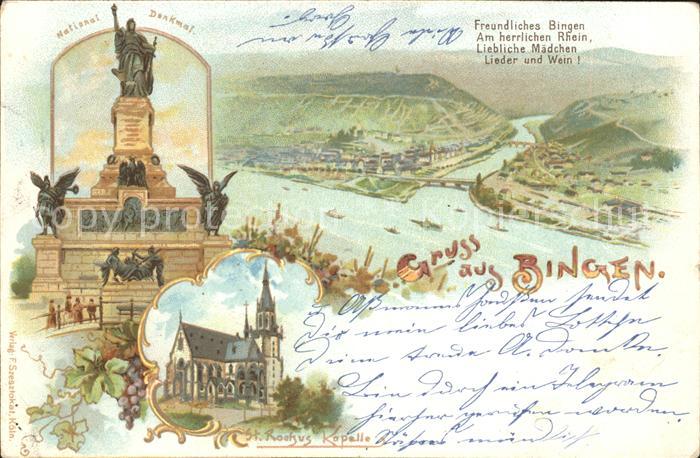 Bingen Rhein Panorama Nahemuendung Weinberge Nationaldenkmal Niederwald St Rochu