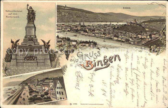Bingen Rhein Panorama Nationaldenkmal Niederwald Ruedesheim Weintrauben