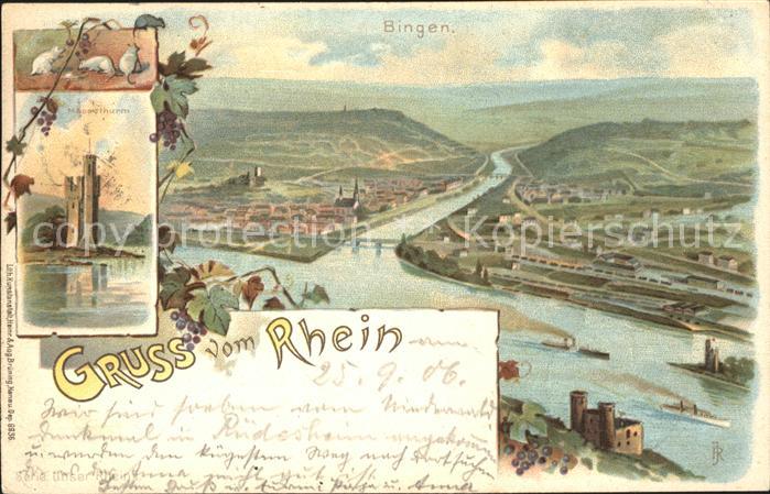 Bingen Rhein Panorama Nahemuendung Maeuseturm Weinrebe Bahnpost