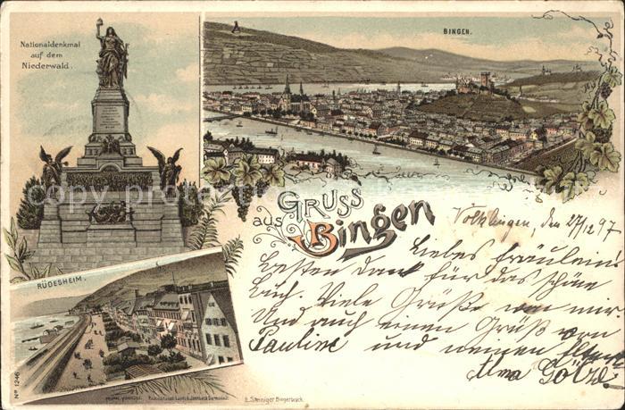 Bingen Rhein Panorama Burg Klopp Nationaldenkmal Niederwald Ruedesheim Weinrebe