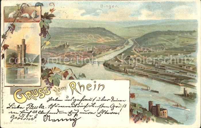 Bingen Rhein Panorama Nahemuendung Maeuseturm Weinrebe