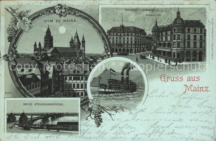 Mainz Rhein Dom im Mondschein Bierhallen Rheindampfer Strassenbruecke