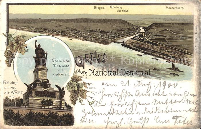 Bingen Rhein Muendung der Nahe Maeuseturm Nationaldenkmal Niederwald Weinrebe