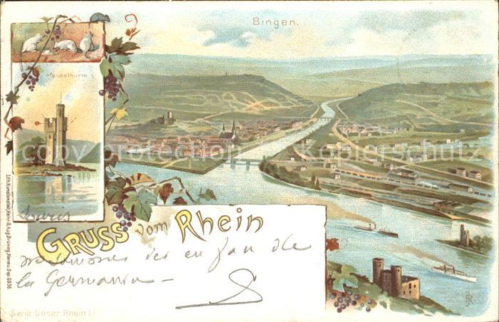 Bingen Rhein Panorama Nahemuendung Maeuseturm Weinrebe