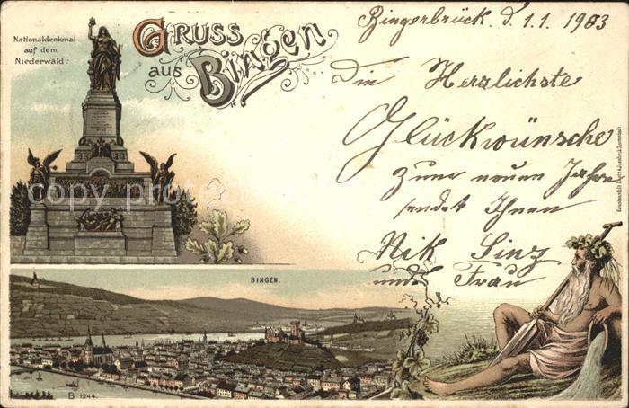 Bingen Rhein Panorama Rochusberg Wassergott Nationaldenkmal Niederwald