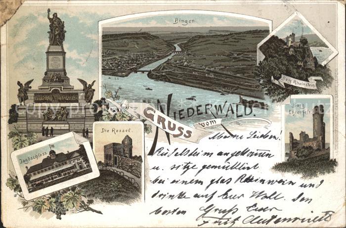 Bingen Rhein Panorama Nahemuendung Burg Rheinstein Ehrenfels Rossek Jagdschloss