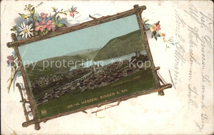Bingen Rhein Panorama Bilderrahmen Blumen
