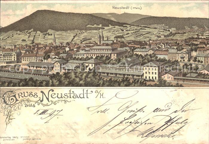 Neustadt Haardt Panorama