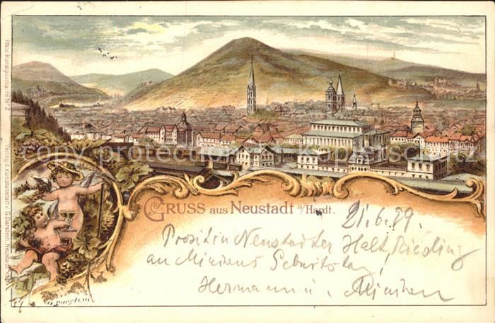 Neustadt Haardt Gesamtansicht