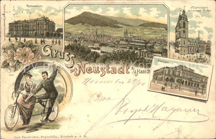 Neustadt Haardt Gymnasium Marktplatz Kirche Saalbau Tandem Fahrrad