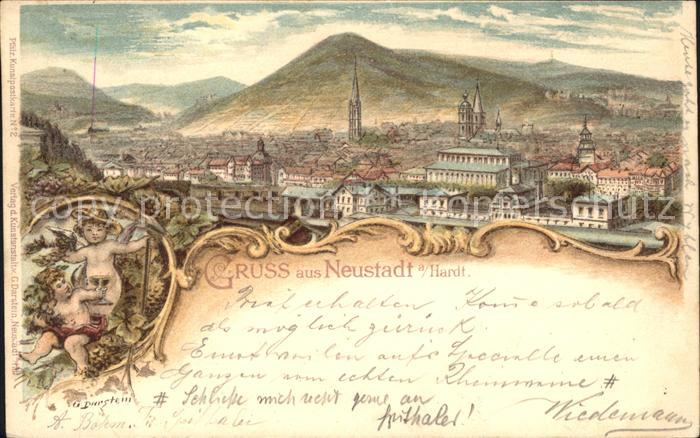 Neustadt Haardt Gesamtansicht Wein