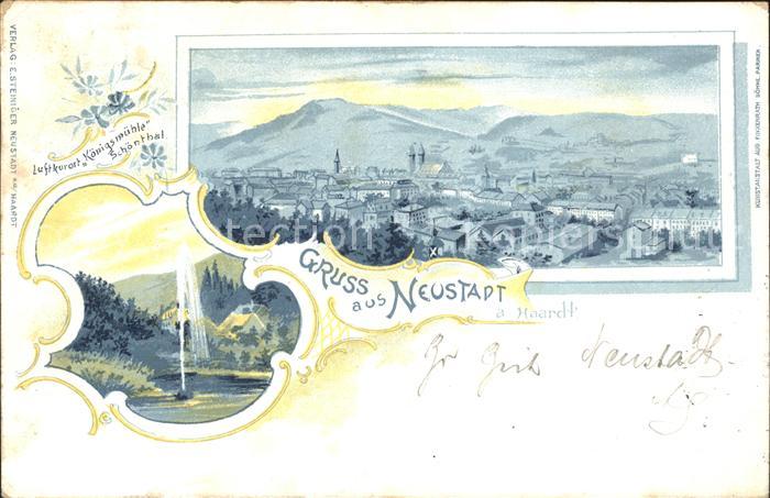 Neustadt Haardt Totalansicht Luftkurort Koenigsmuehle Schoenthal Fontaene