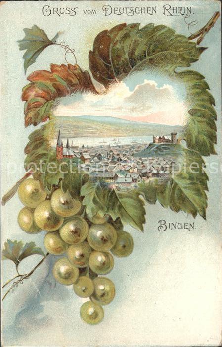 Bingen Rhein Panorama Weintrauben Weinanbau Der Deutsche Rhein