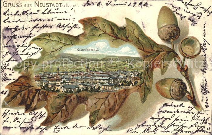 Neustadt Haardt Gesamtansicht Eichenlaub