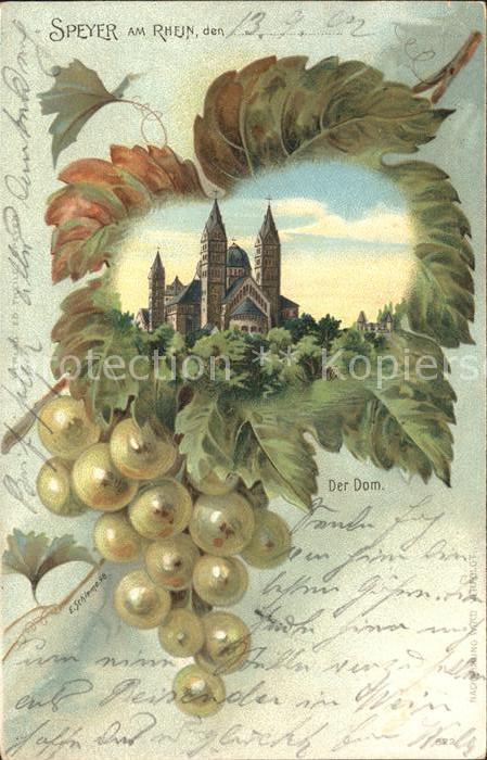 Speyer Rhein Dom Weinrebe Weintraube