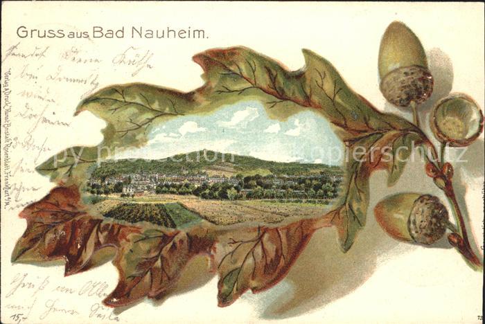 Bad Nauheim Panorama Eichenlaub