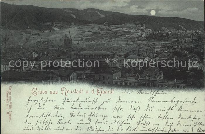 Neustadt Haardt Panorama im Mondschein