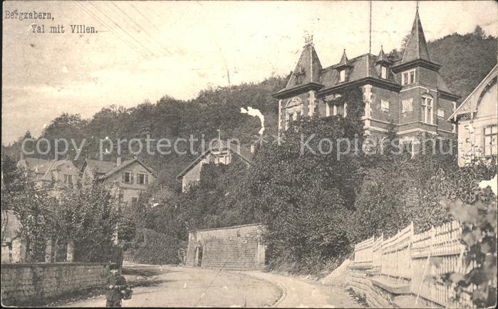 Bad Bergzabern Tal mit Villen