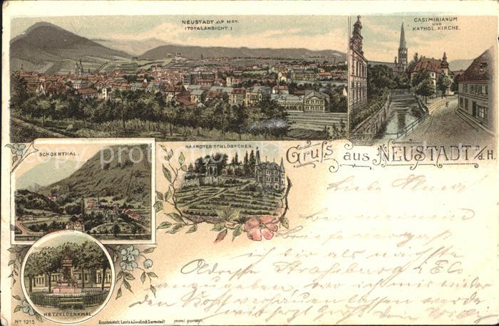Neustadt Haardt Gesamtansicht Casimirianum Kirche Schoenthal Schloesschen Hetzel